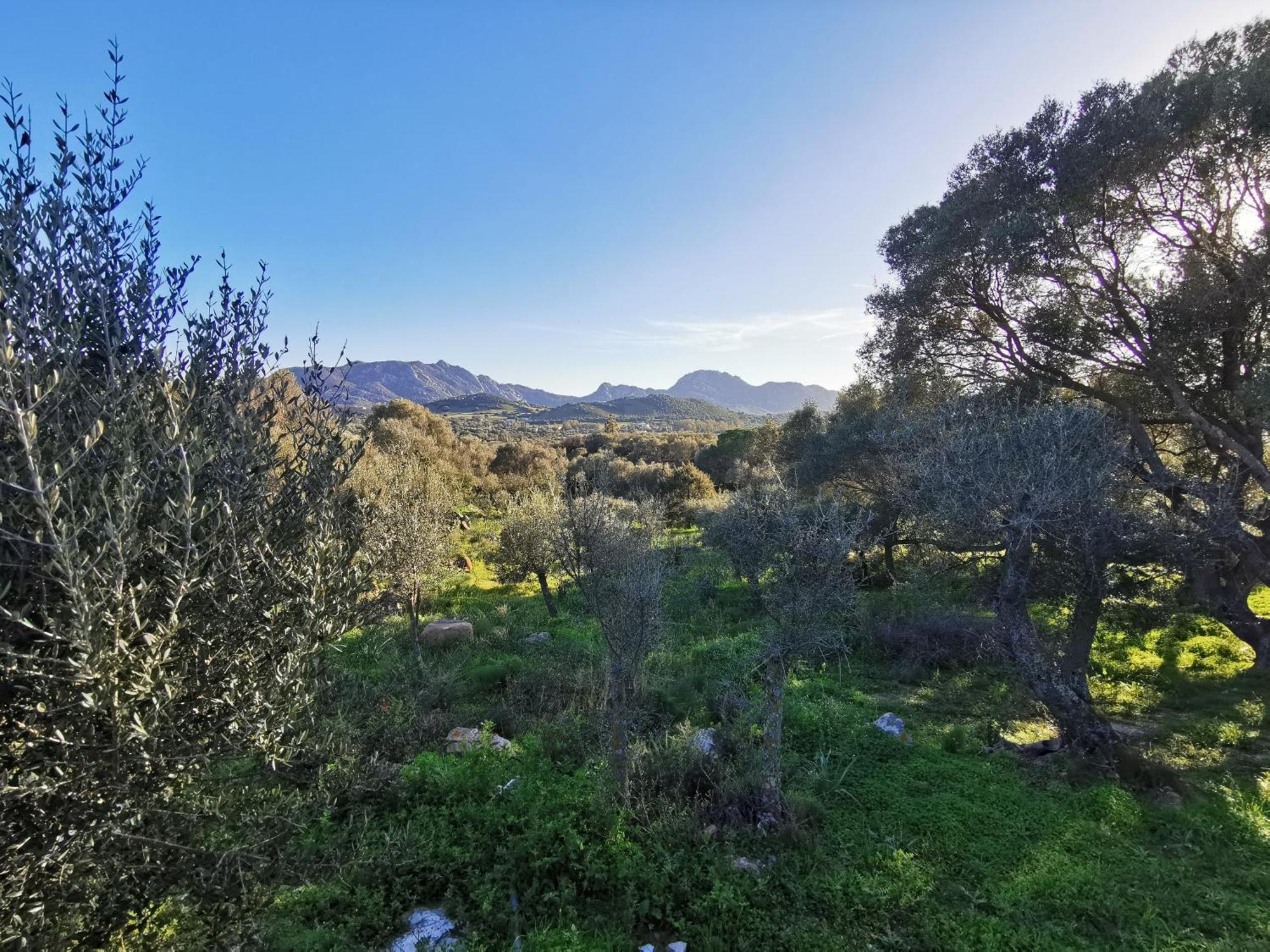 Casa Mariposa Porto Rotondo Villa Rudalza Kültér fotó